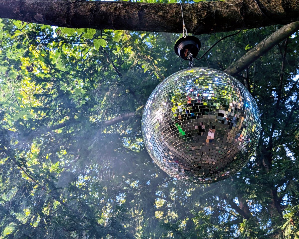 Bild vom Liebieghaus-Garten bei der "Secret Garden-Party" Eine Discokugel hängt an einem Ast unter einer Tanne.