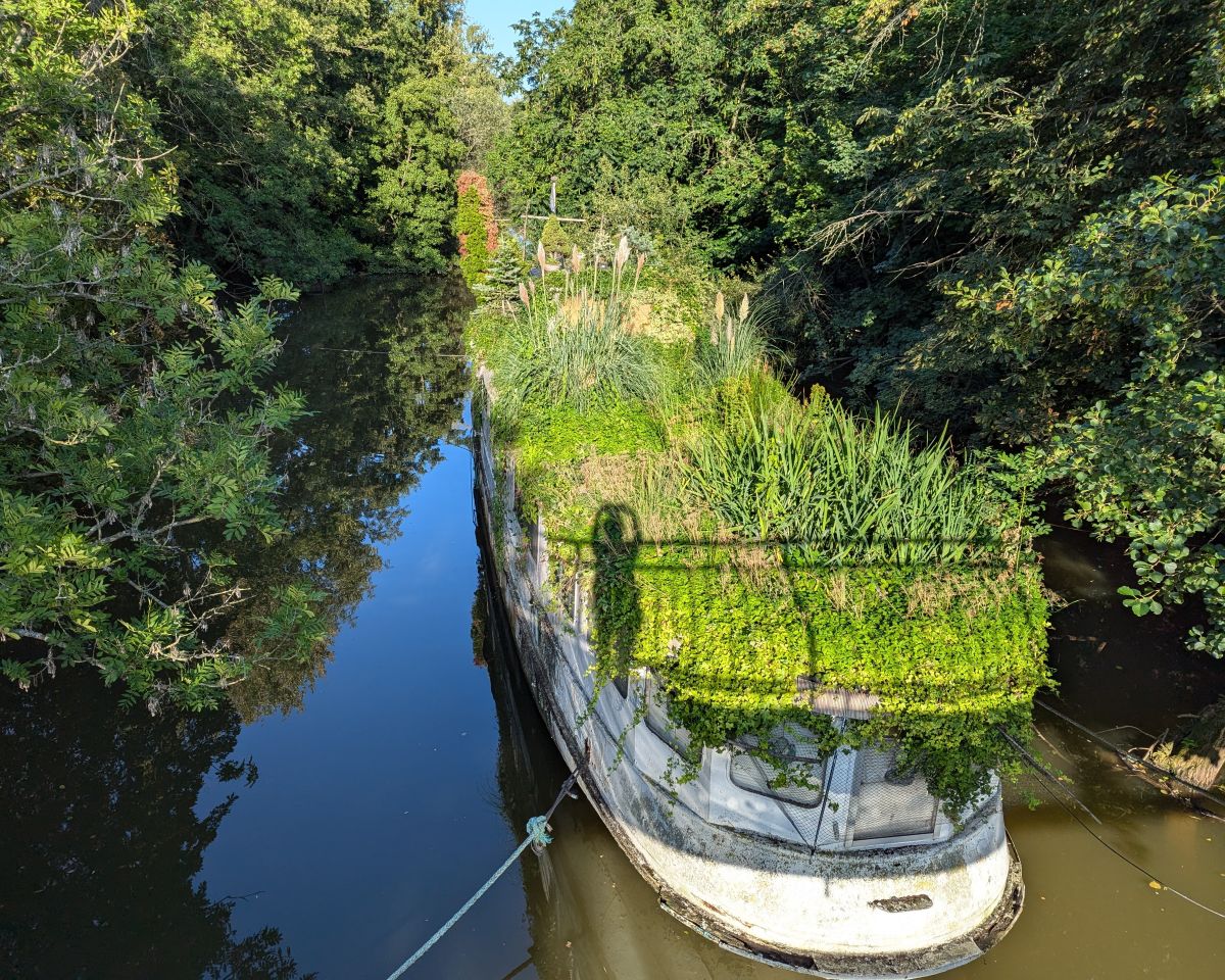 Das Natureship MS heimliche Liebe liegt auf dem Mainarm und ist komplett bepflanzt und überwachsen.