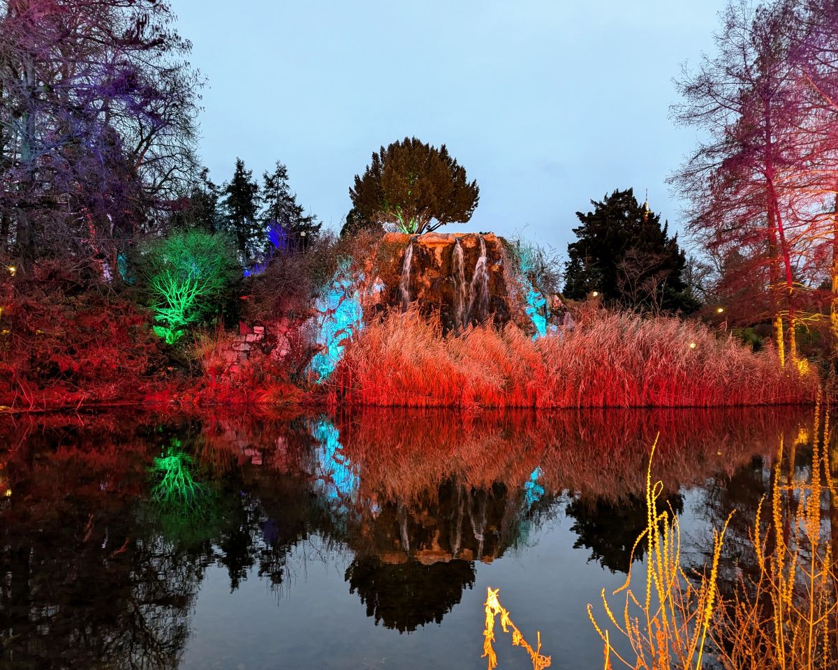 Winterlichter im Palmengarten Frankfurt. Blick auf den See.