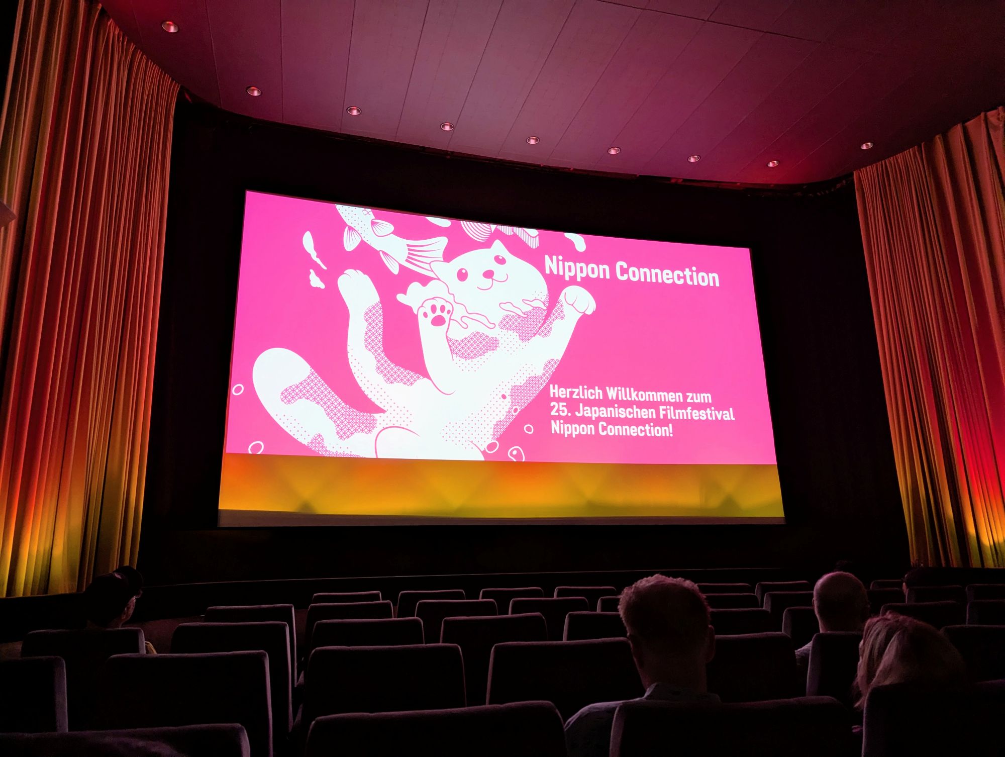 Kinoleinwand mit der Animekatze