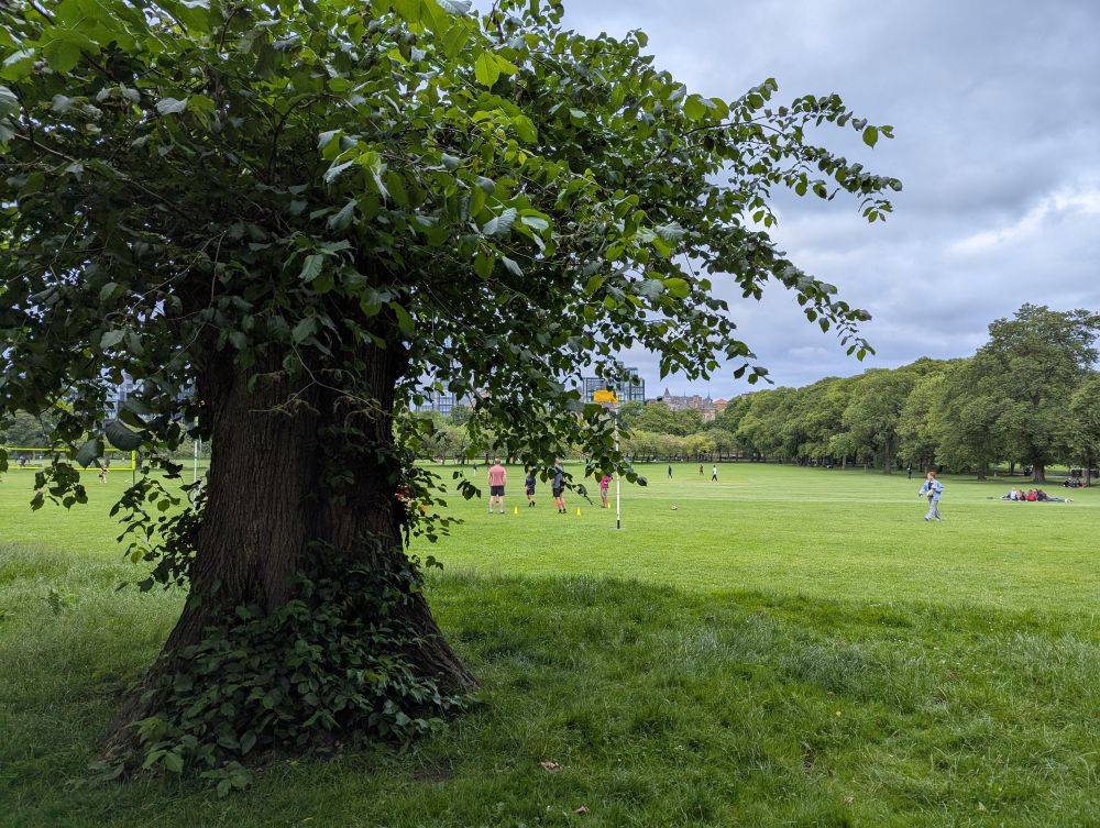 Eine Wiese in The Meadows auf der im Hintergrund Cricket gespielt wird, der Himmel ist wolkenverhangen.