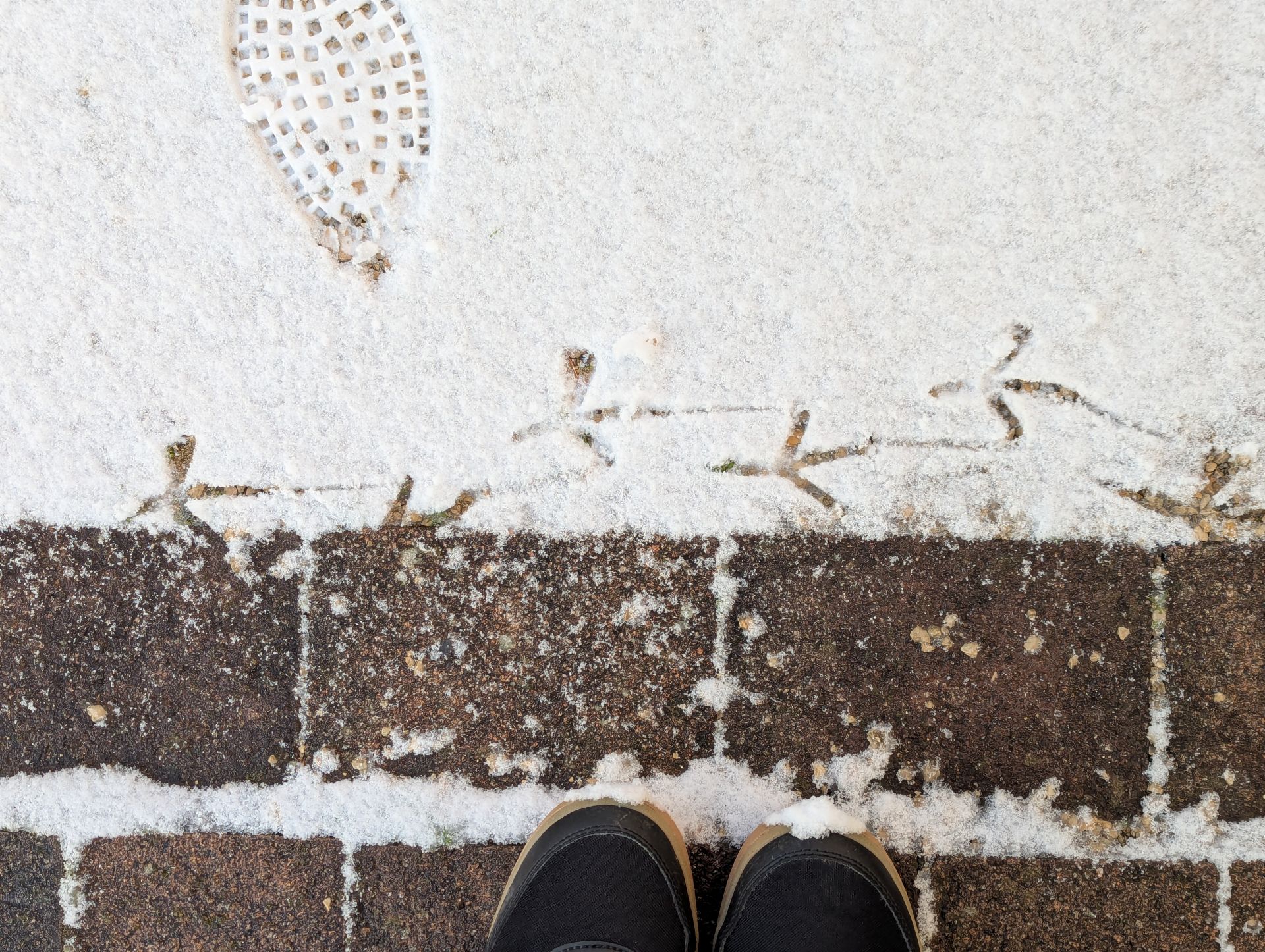 Was ich im Januar gelernt habe