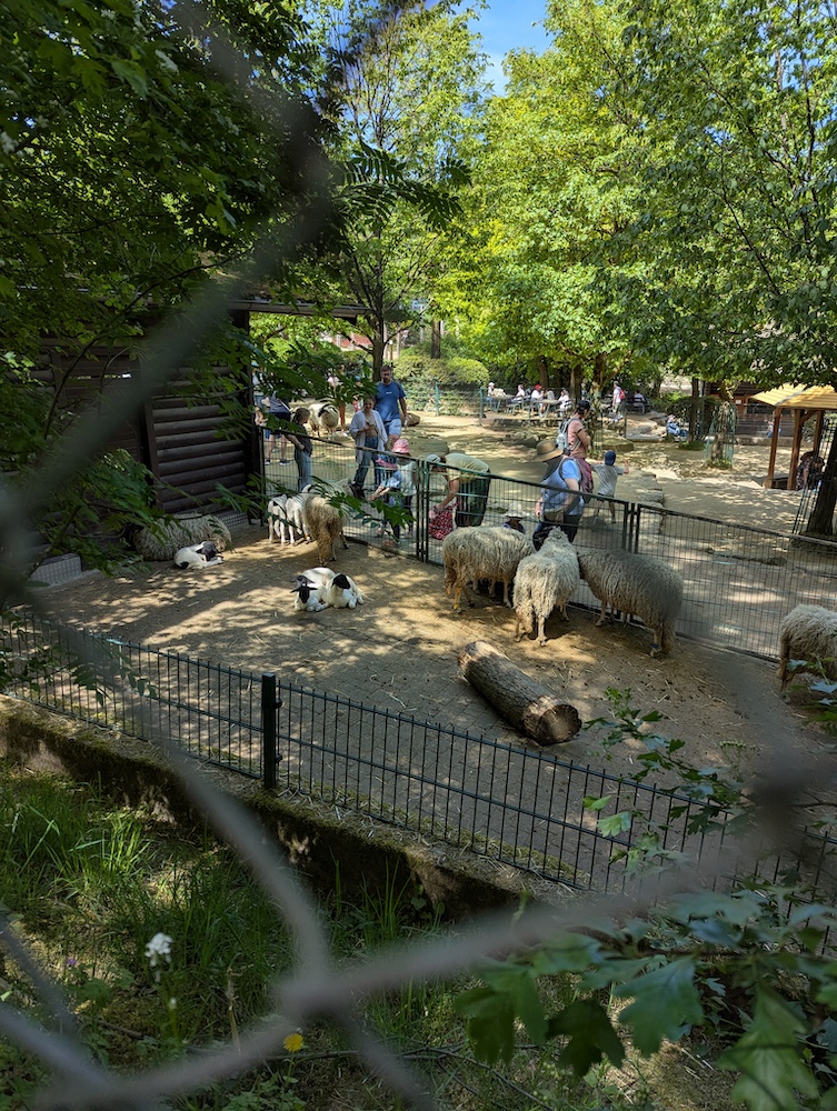 Blick in den Opelzoo vom Wanderweg aus.