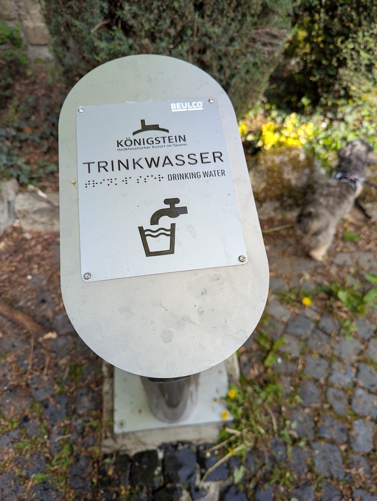Trinkwasserstation in Königstein - mit Hundebegegnung.