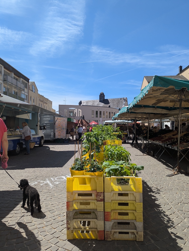 Samstags ist Wochenmarkt in Kronberg