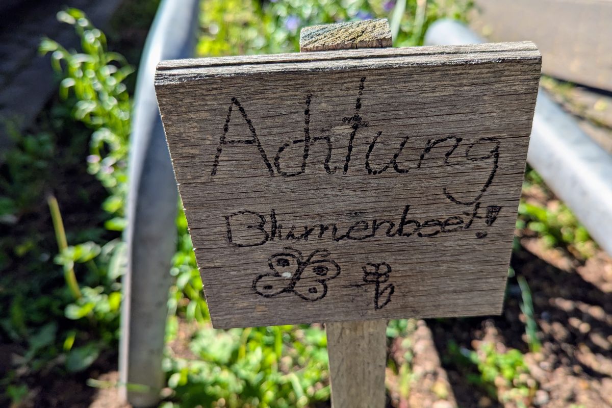 Jahresanfang 2025 – Meine Ziele für Januar bis März