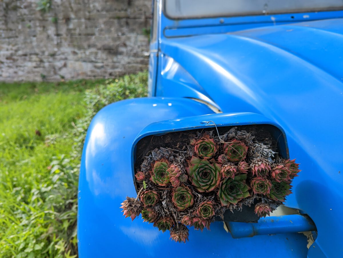 Ausrangierte Ente vor dem 2CV Museum