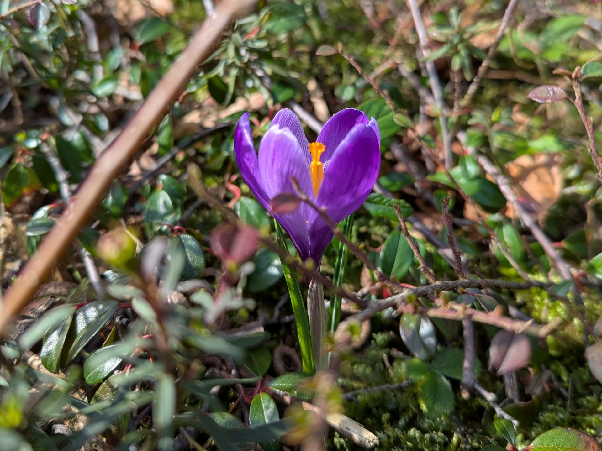 Die geschenkte Stunde