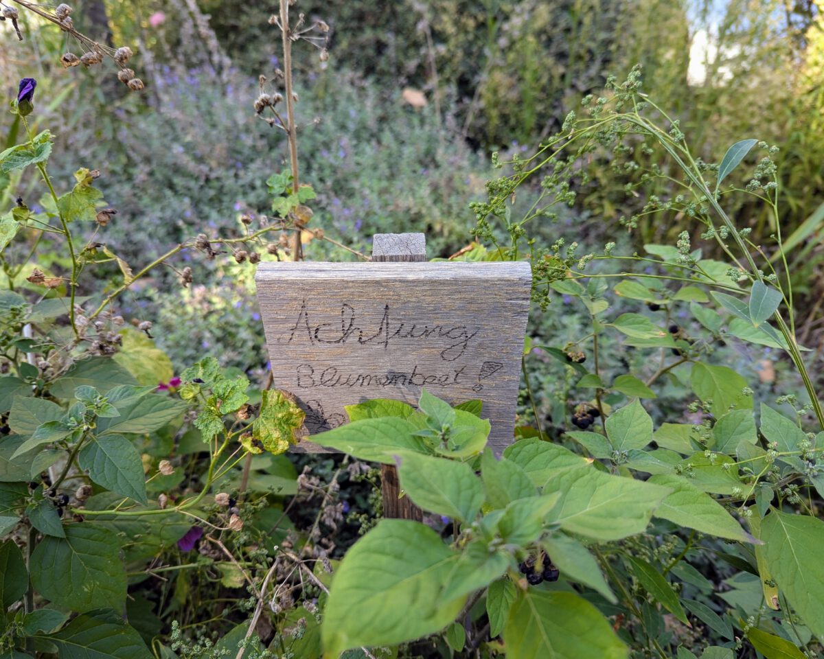 Schild mit der Aufschrift Achtugn Blumenbeet! in einem wilden Stadt-Beet