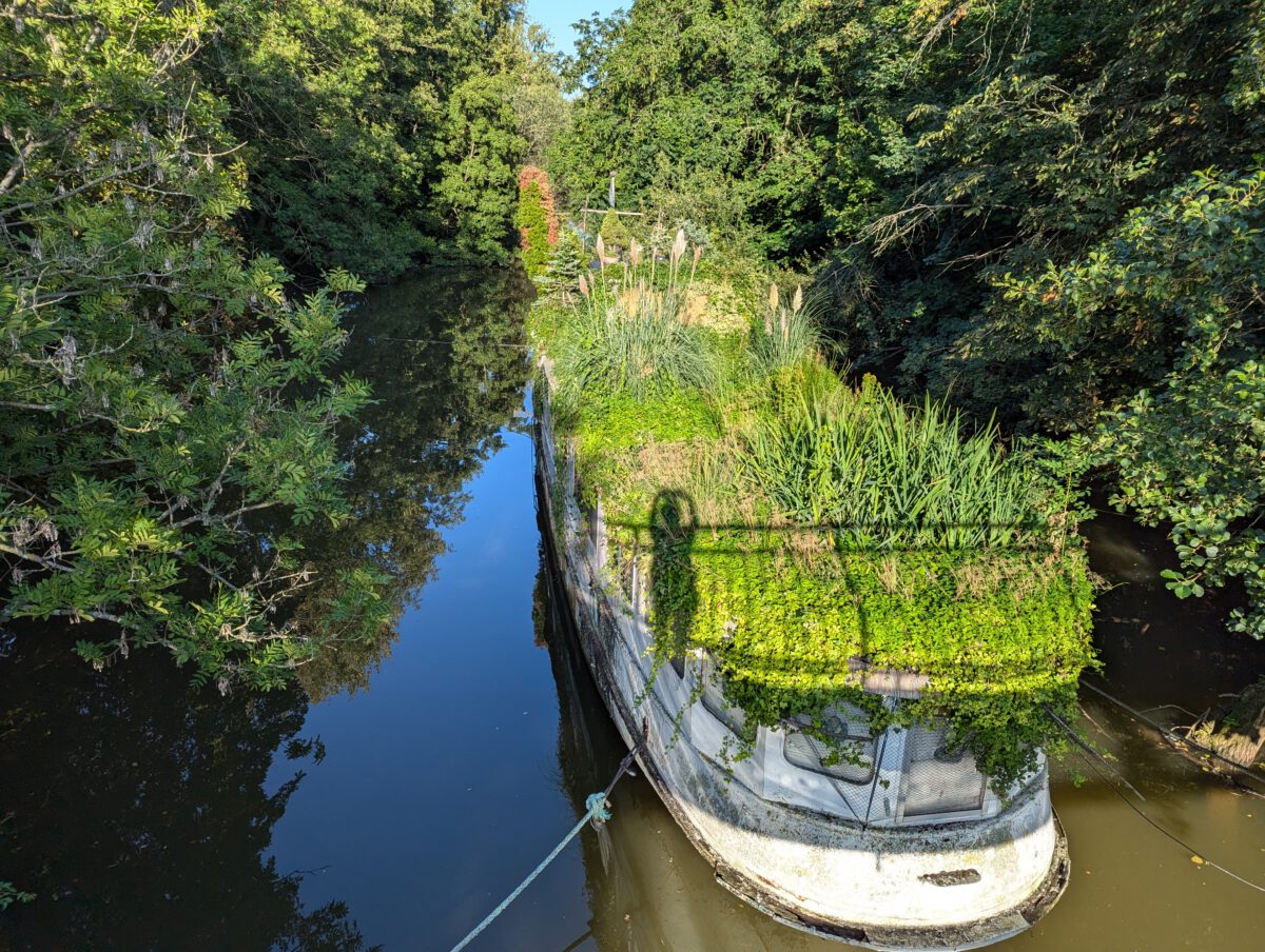 Überwuchertes Natureship "MS Heimliche Liebe"